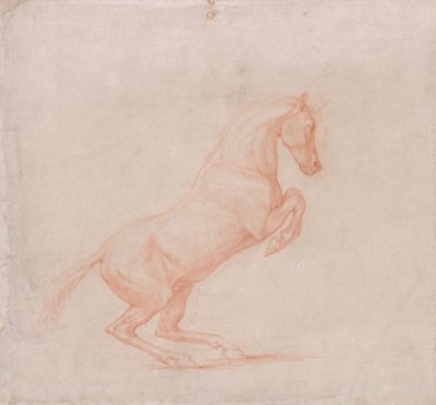 A Prancing Horse, Facing Right by George Stubbs